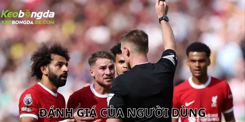 Đánh giá của người dùng về trang thể thao hàng đầu