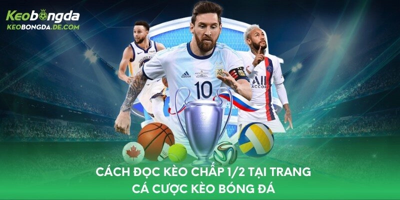 Cách đọc kèo chấp 1/2 tại trang cá cược Kèo Bóng Đá