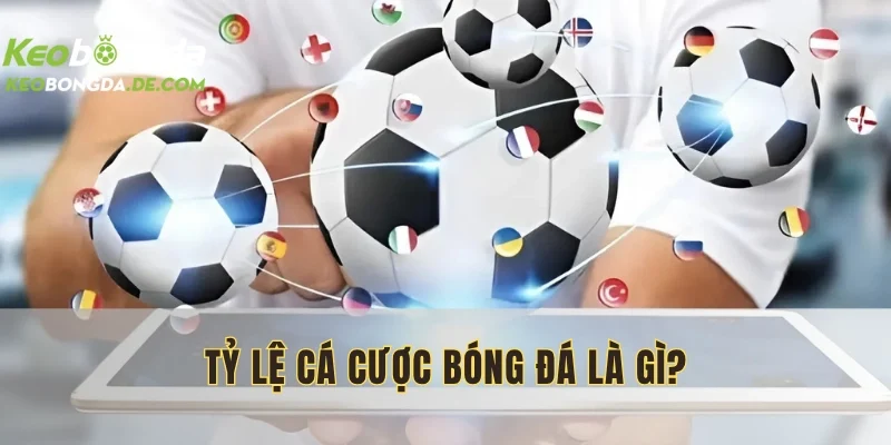Nền tảng cung cấp thông tin chi tiết về Odds