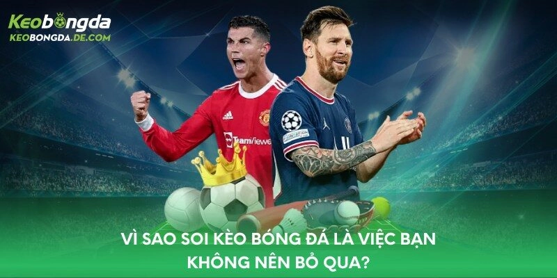 Vì sao soi kèo bóng đá là việc bạn không nên bỏ qua?